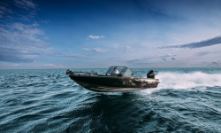 Albakore 650 Fish