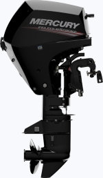 Mercury F20 EL EFI